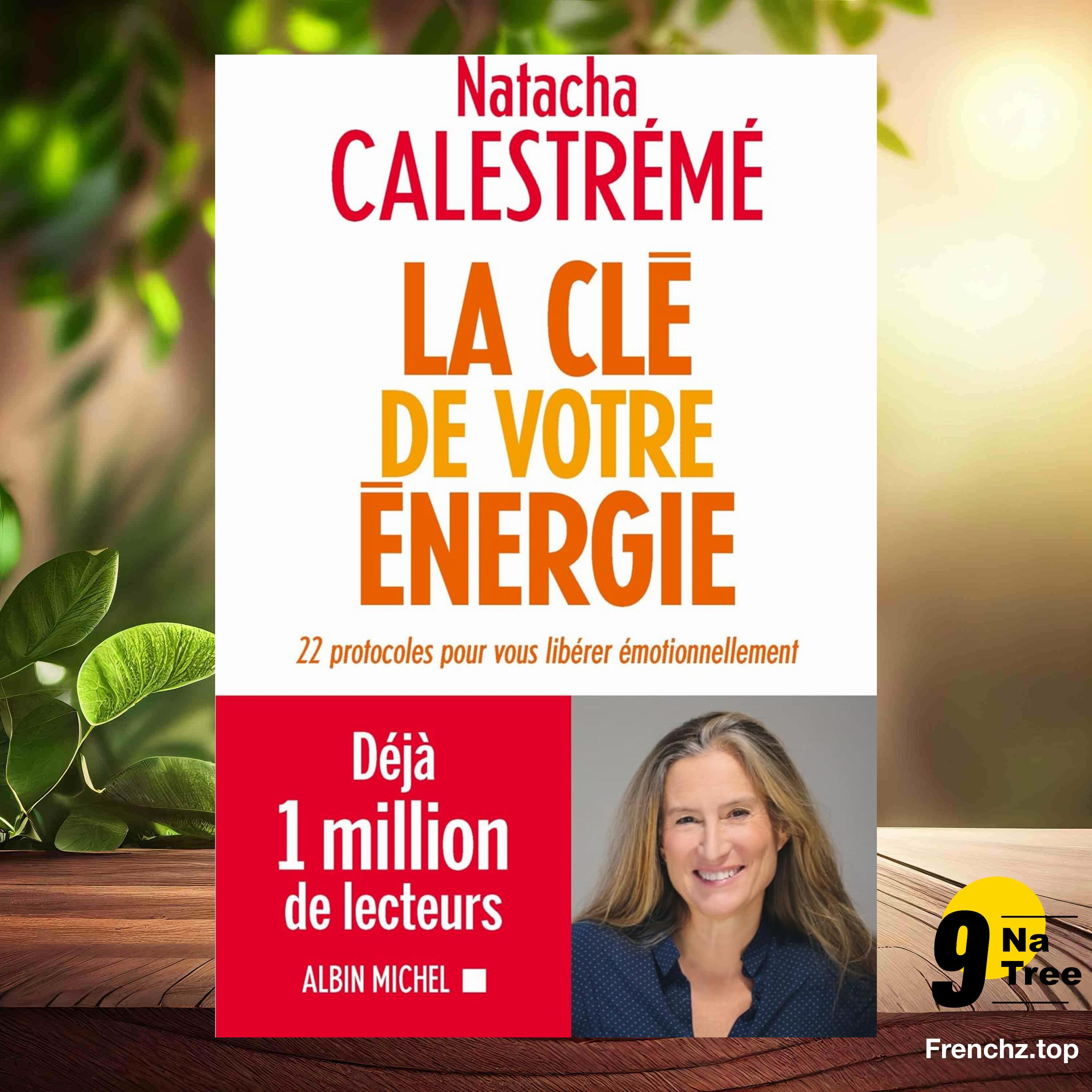 [Critique] La Clé de votre énergie (Natacha Calestreme) Résumé.