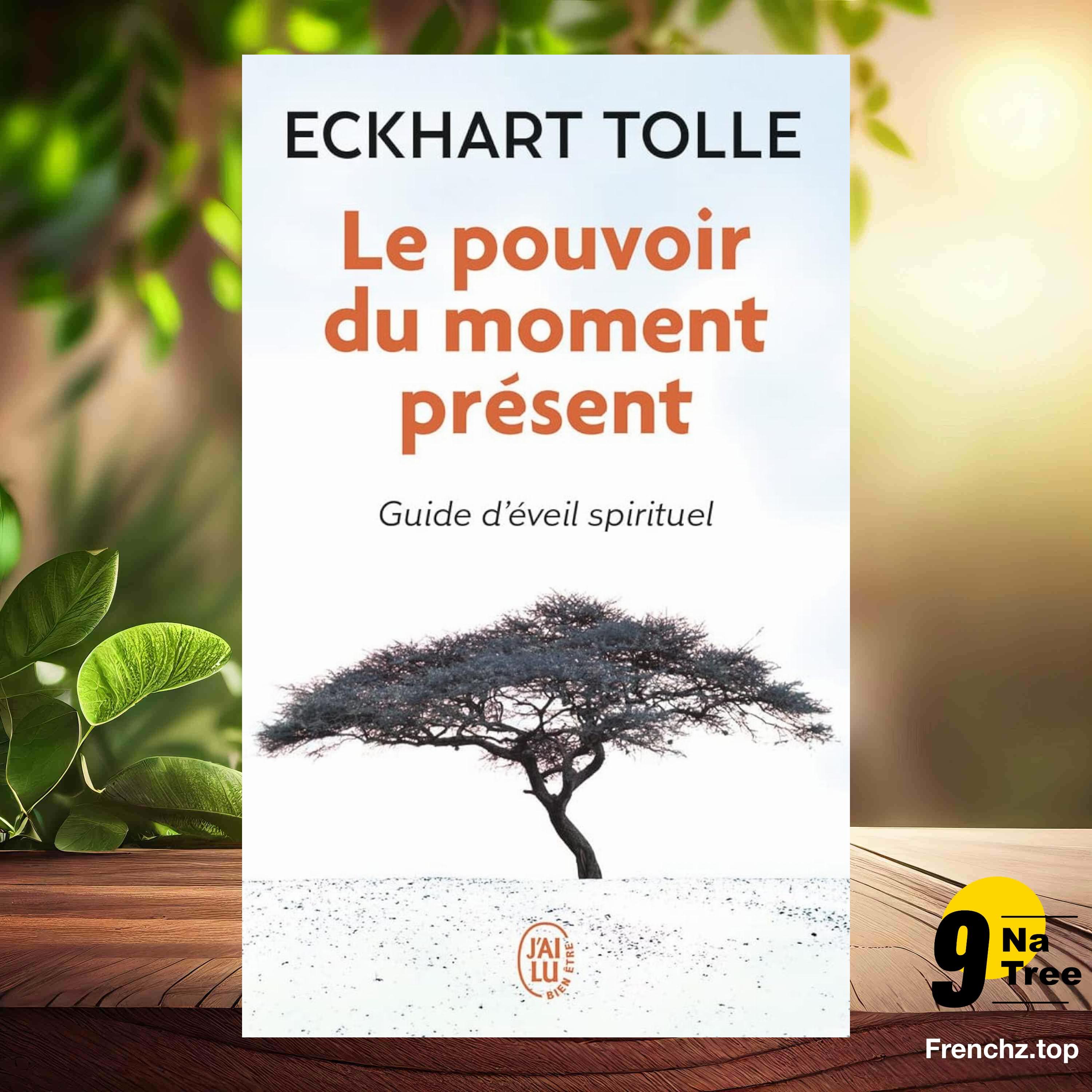 [Critique] Le pouvoir du moment présent - Guide d'éveil spirituel (Eckhart Tolle) Résumé.